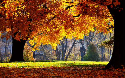 475901 (a): :1920x1200